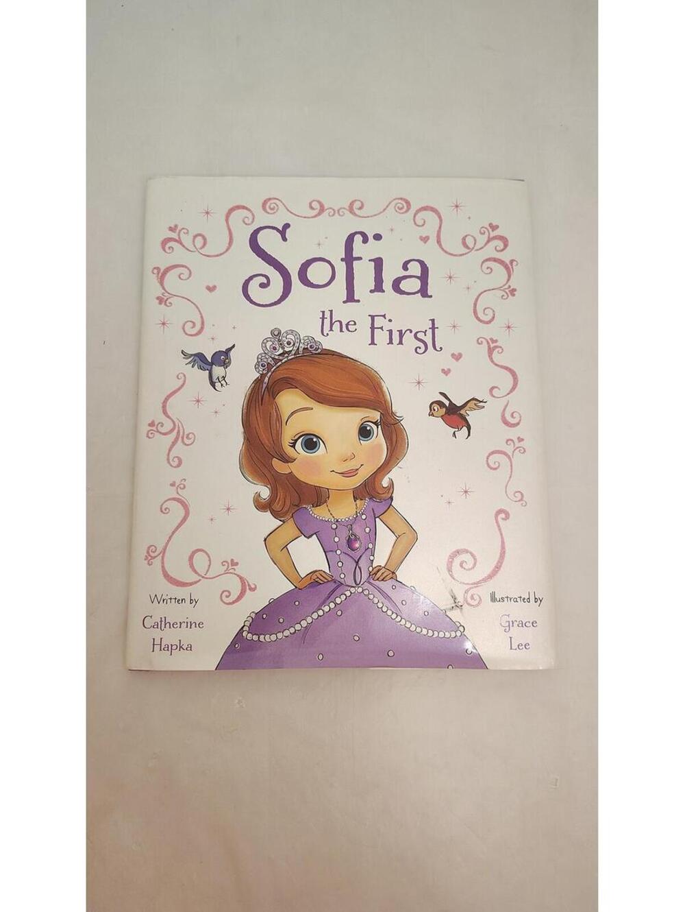 Disney Sofia the First Hardcover Princess Book Kids Storybook 2012 HC
